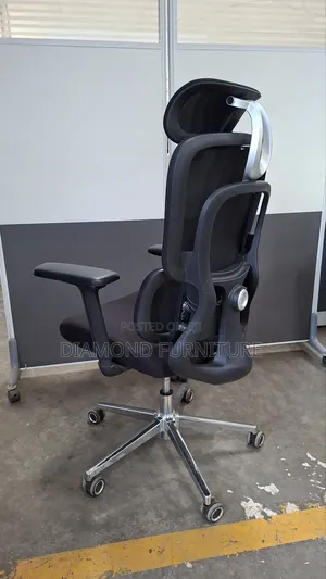 Ergonomic High-Back Mesh Office Chair With Headrest