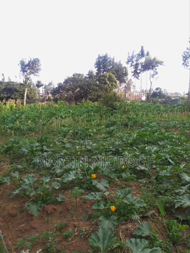 1⁄4 Plot Kihingo - main view