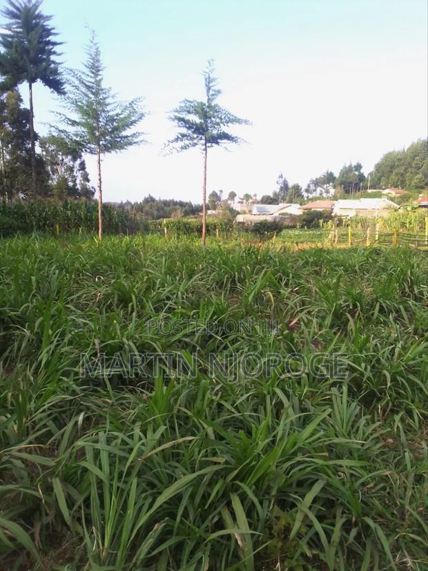 1⁄4 Plot Kihingo - thumbnail 3