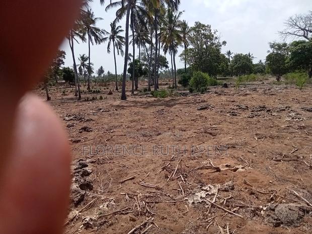 Beach Plot - main view