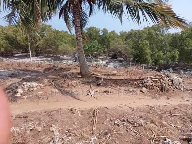 Beach Plot - thumbnail 3