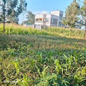 Prime 40x80 Plot Kiora Estate - main view