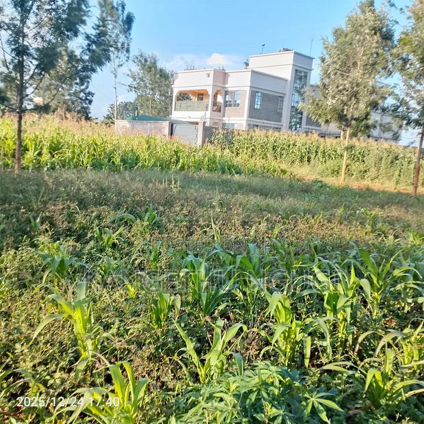 Prime 40x80 Plot Kiora Estate