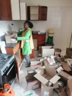 Professional Movers Within South C/ South B Estates