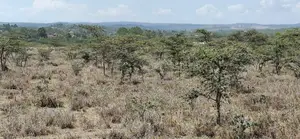 Prime Land for Sale: Koldota, Off Pipeline Road