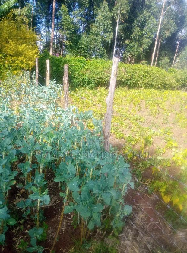 Land for Sale in Eldoret - thumbnail 3