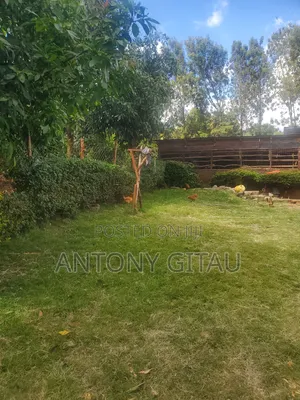 1/8 Plot in Rio Breeze Estate