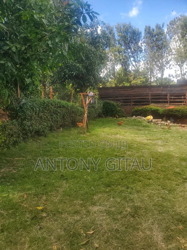 1/8 Plot in Rio Breeze Estate - thumbnail 2