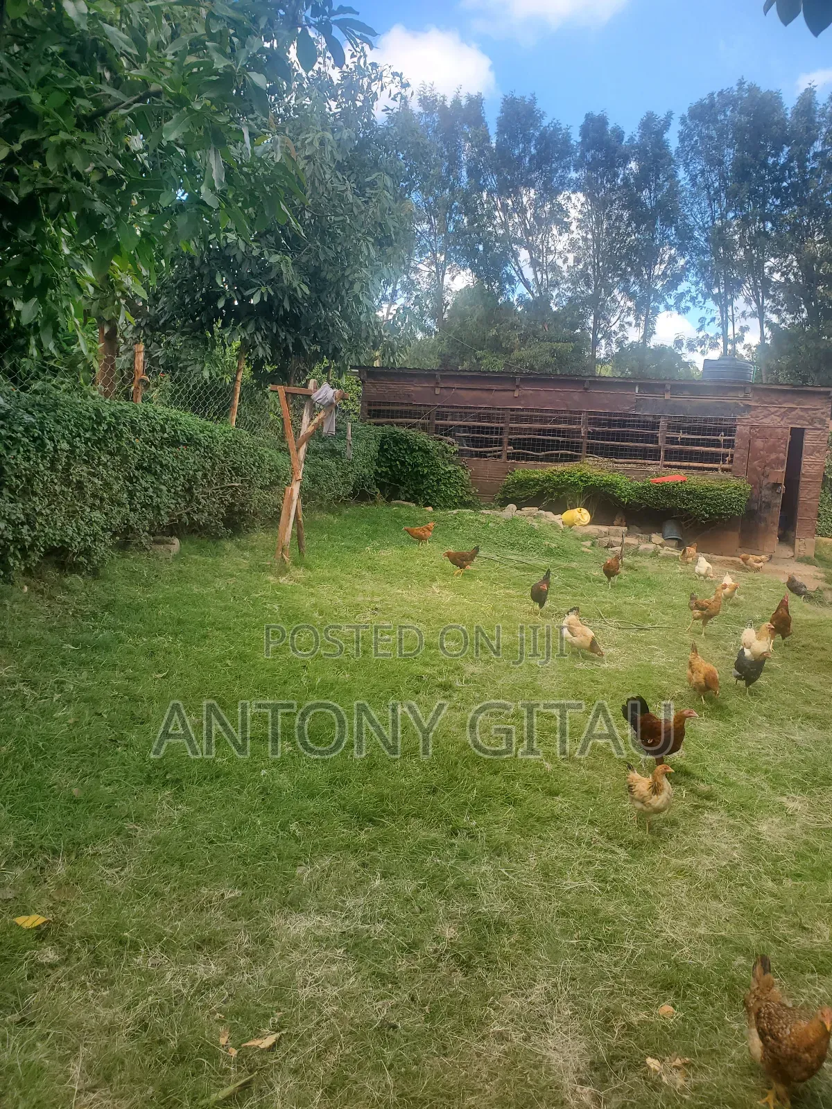 1/8 Plot in Rio Breeze Estate