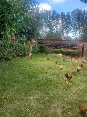 1/8 Plot in Rio Breeze Estate