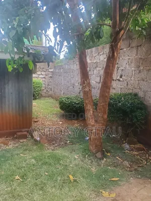 1/8 Plot in Rio Breeze Estate