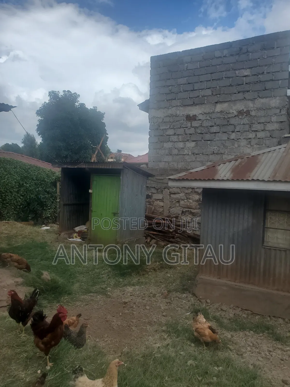 1/8 Plot in Rio Breeze Estate
