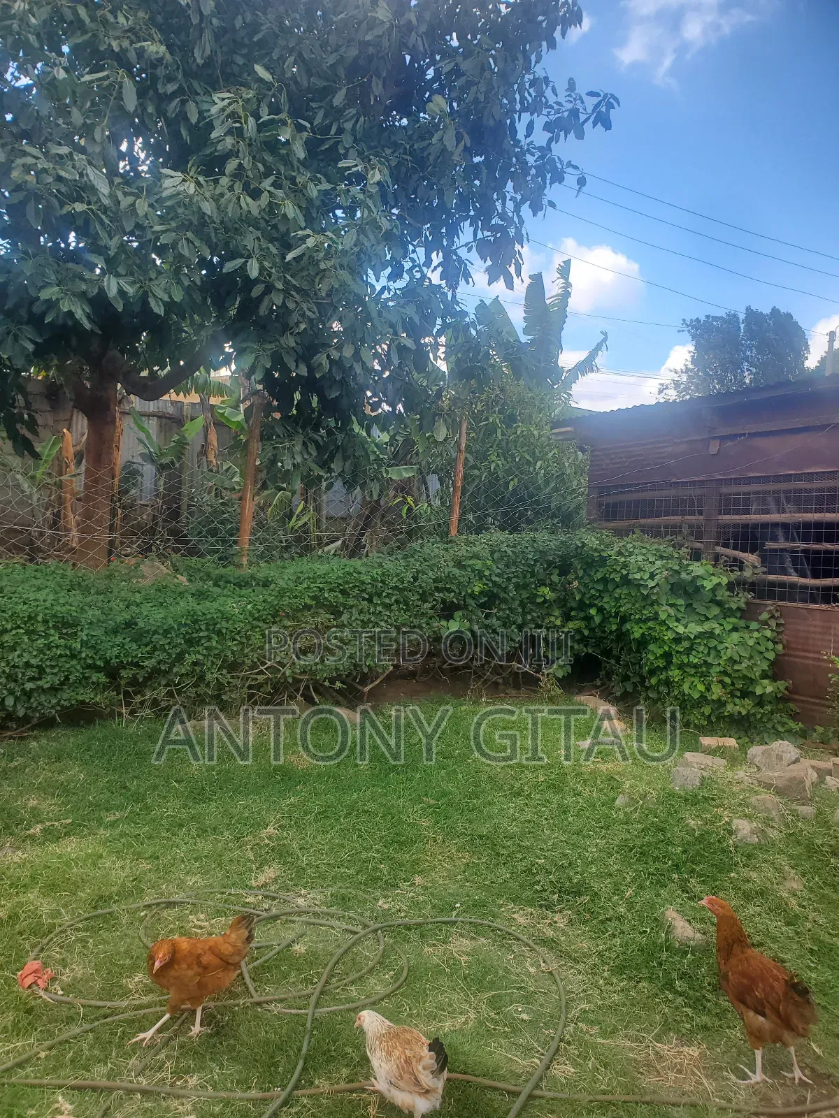 1/8 Plot in Rio Breeze Estate