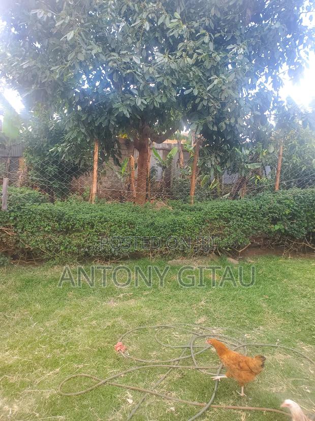 1/8 Plot in Rio Breeze Estate - thumbnail 9