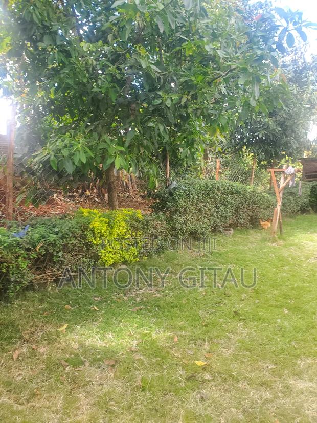 1/8 Plot in Rio Breeze Estate - thumbnail 11