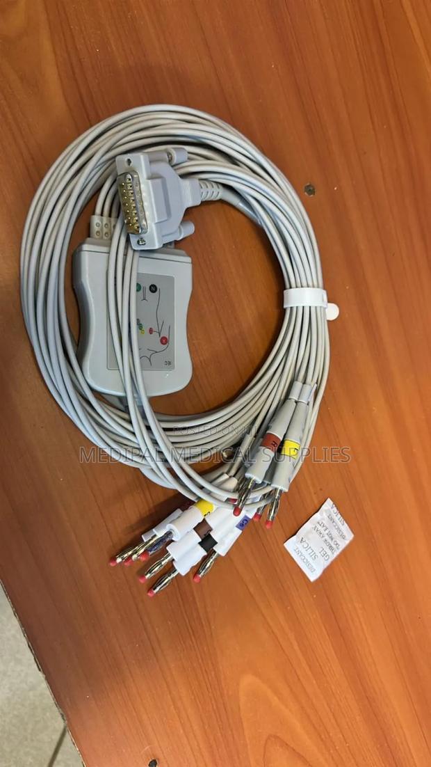 12 Leads Ecg Cable - main view