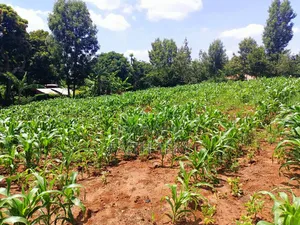 Plot for Sale, 1⁄2 Acre.