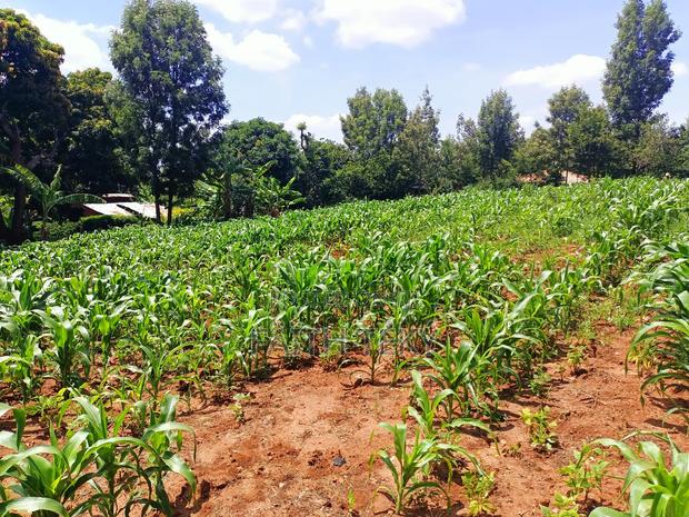 Plot for Sale, 1⁄2 Acre. - thumbnail 5