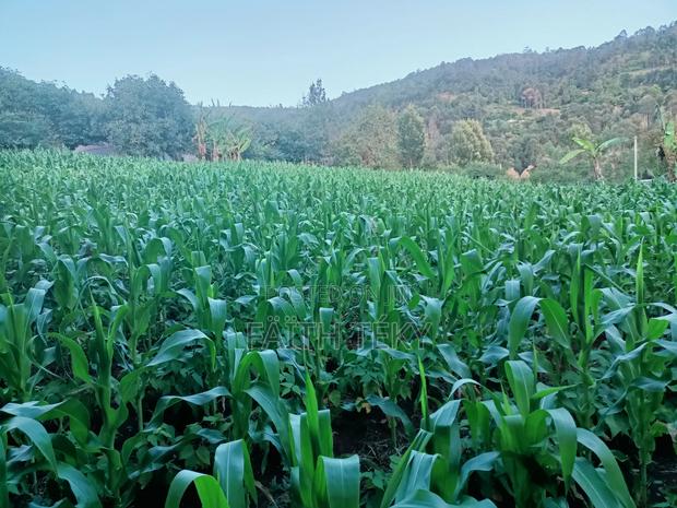 Plot for Sale, 1⁄2 Acre. - main view