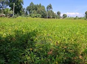 Land on Sale - thumbnail 2