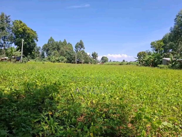 Land on Sale - thumbnail 3