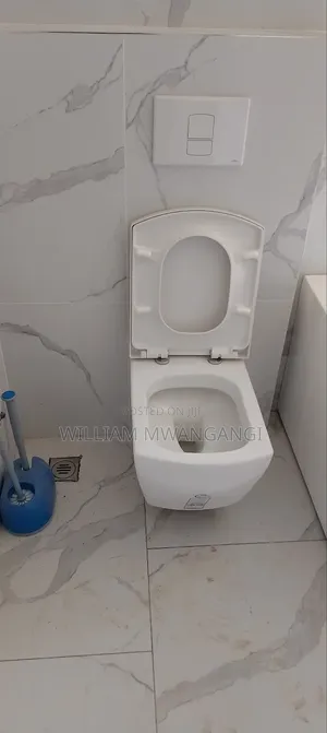 Plumbing(Pump and Water Tank Installations, Drainage and Fittings)