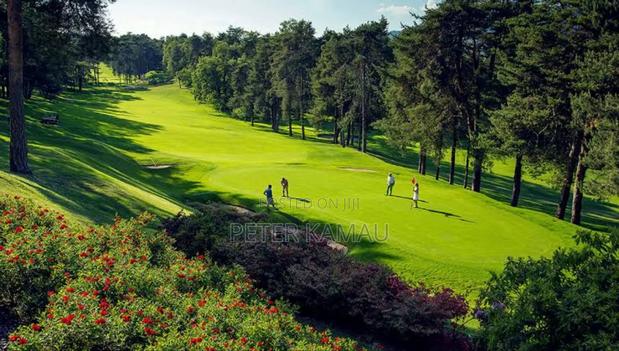 4bdrm House in 00502, Runda for sale - thumbnail 10