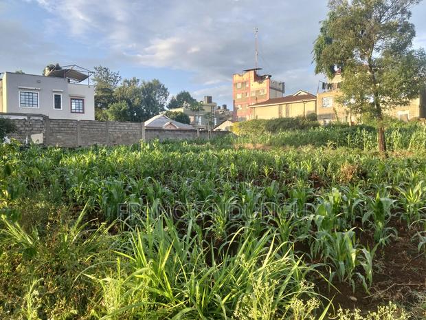 Prime Commercial Plots for Sale Boma Road Kiambu Town.