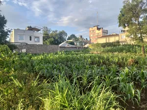Prime Commercial Plots for Sale Boma Road Kiambu Town.