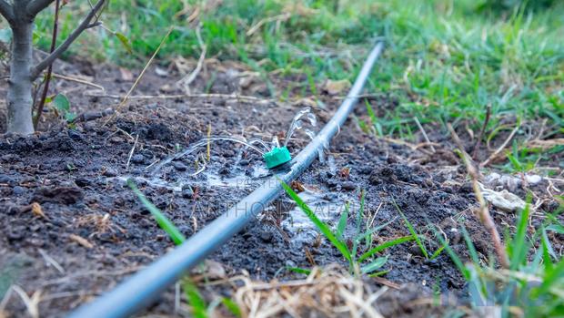 50x100 Prime Plots In Nanyuki- Kimuri Area - thumbnail 8