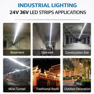 5m Led Strip Light 110v/220v Warm White Waterproof Rope Light
