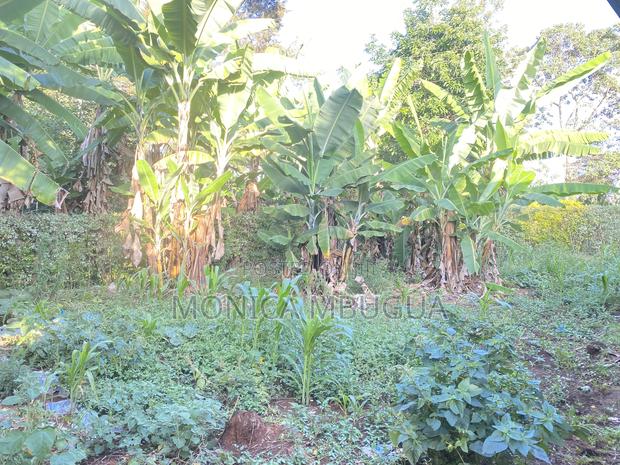 Land for Sale in Komothai Area - thumbnail 3