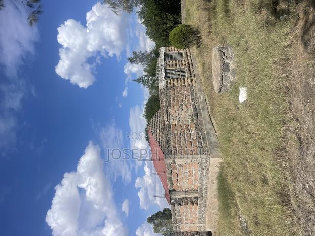 100m by 100m - main view