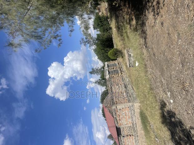 100m by 100m - thumbnail 5