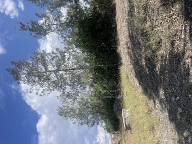 100m by 100m - thumbnail 4