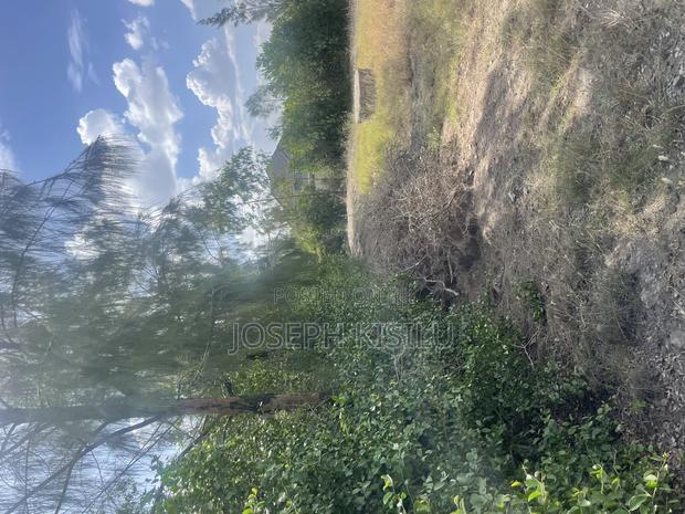 100m by 100m - thumbnail 2