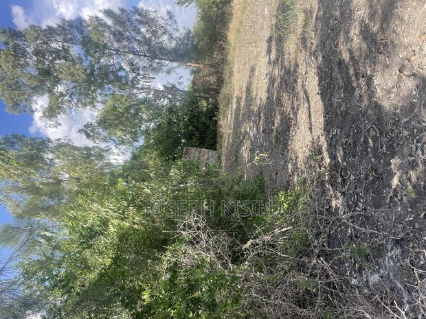 100m by 100m - thumbnail 6