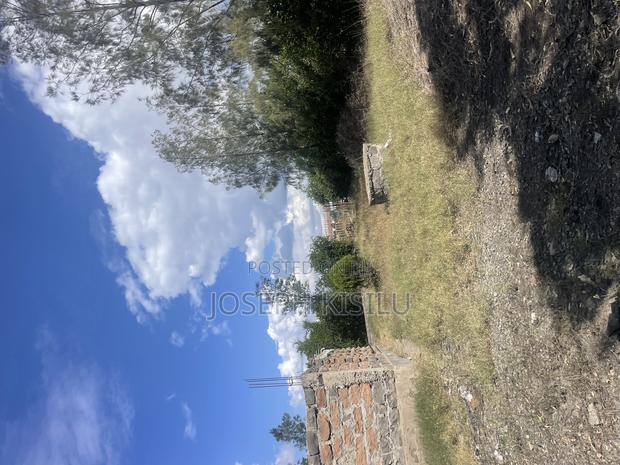 100m by 100m - thumbnail 9