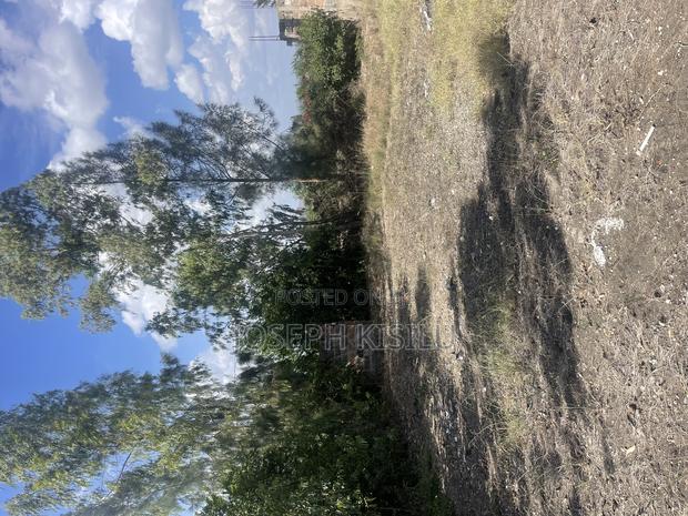 100m by 100m - thumbnail 8