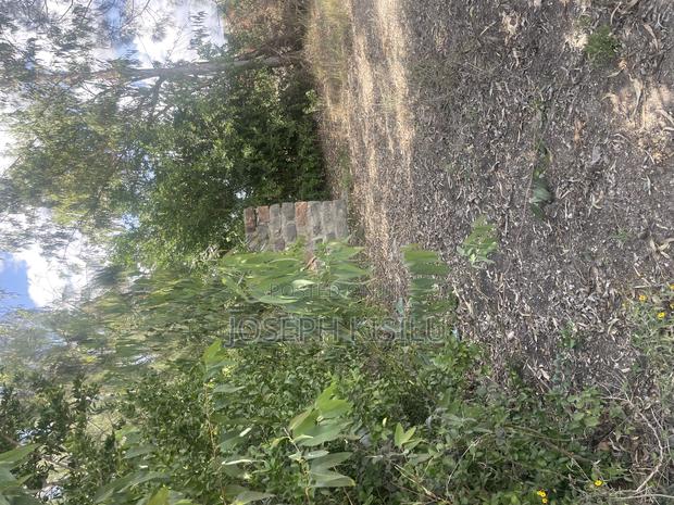 100m by 100m - thumbnail 11