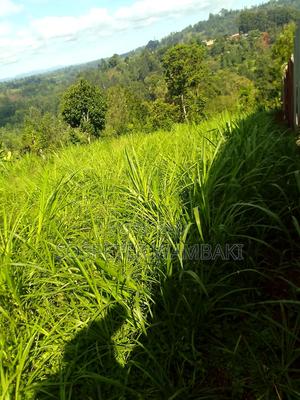 Land for Sale - thumbnail 2