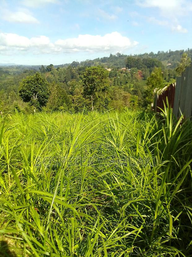 Land for Sale - thumbnail 3