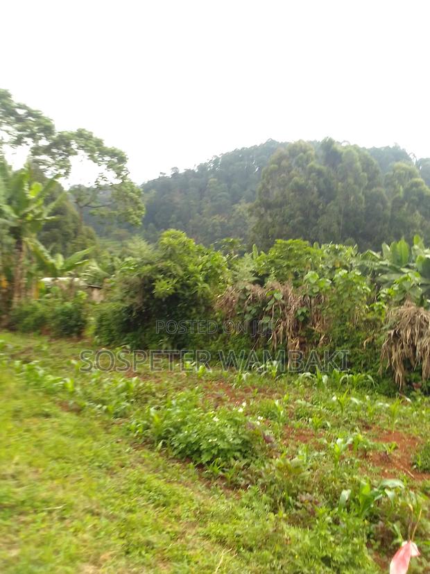 Land for Sale - thumbnail 4