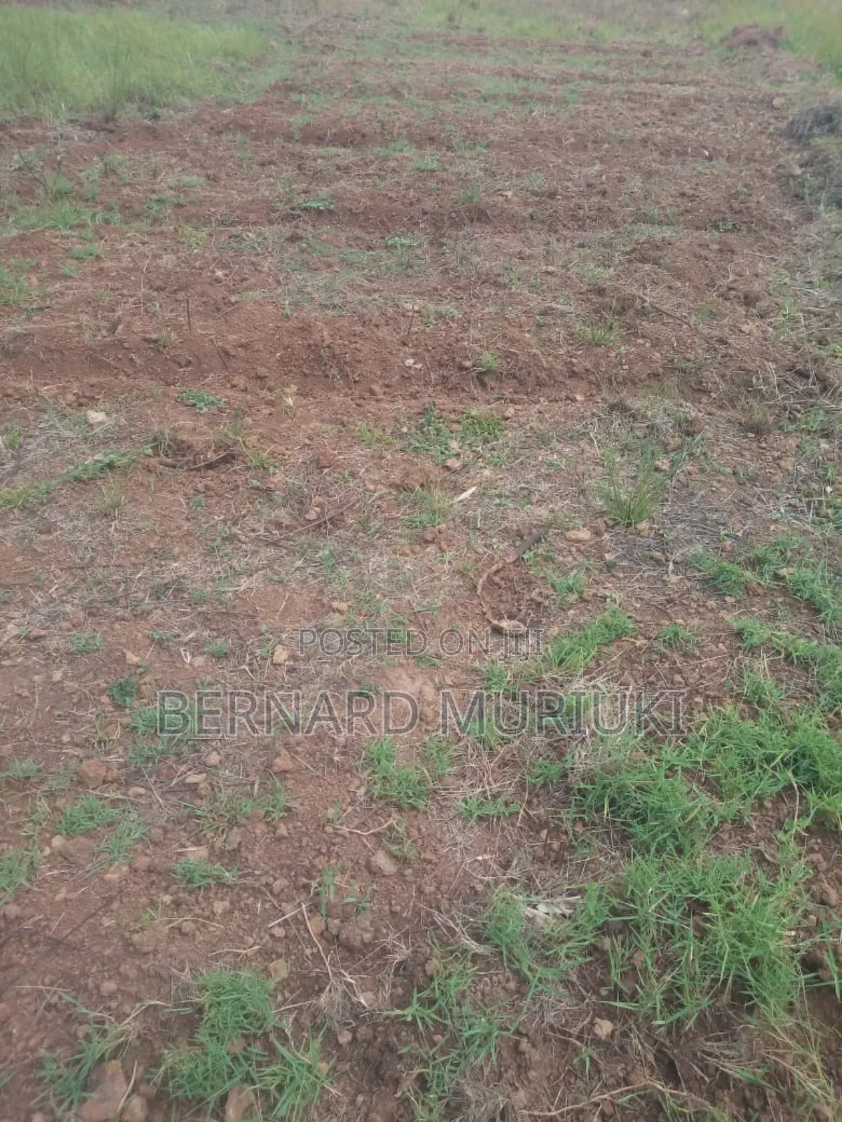 11no. 1/4 Acre Kigio Plots on Sale