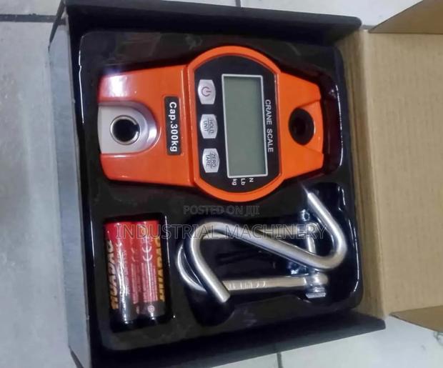 Crane Weighing Scale 300kgs - main view