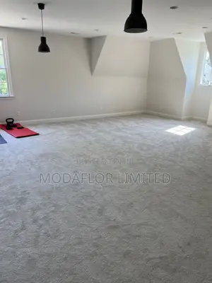 Soft Vip Wall to Wall Carpet Stylish and Warm