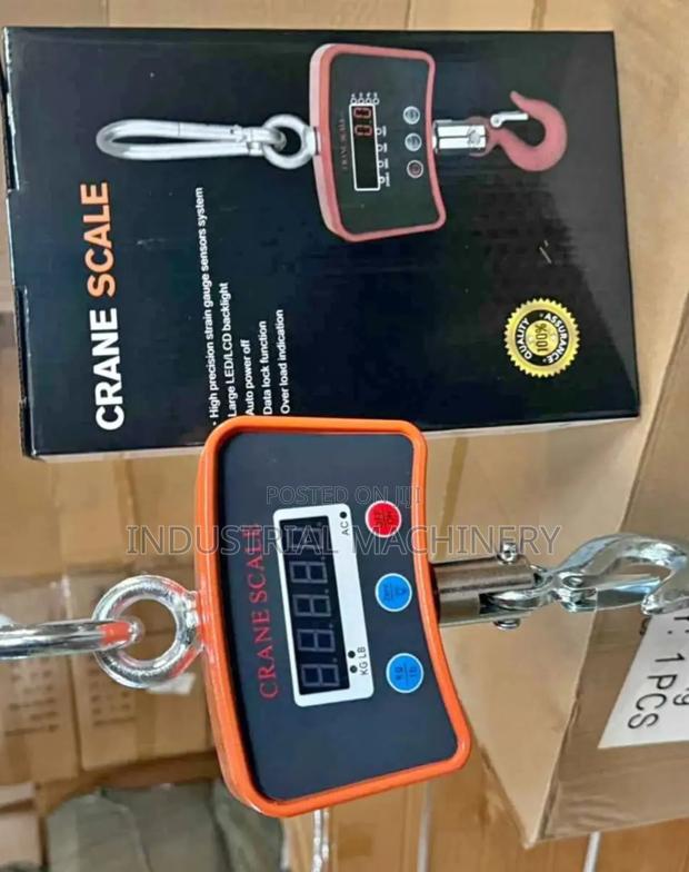 Crane Weighing Scale 500kg - main view