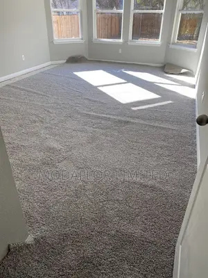 Vip Carpet /Hotel-Style Carpet for Your Home