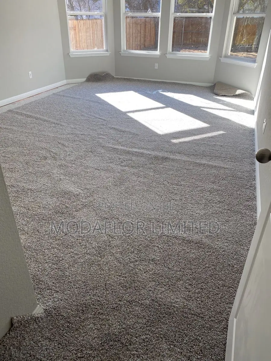 Vip Carpet /Hotel-Style Carpet for Your Home