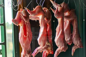 Fresh, Clean Premium Rabbit Meat – Ready for Your Table!